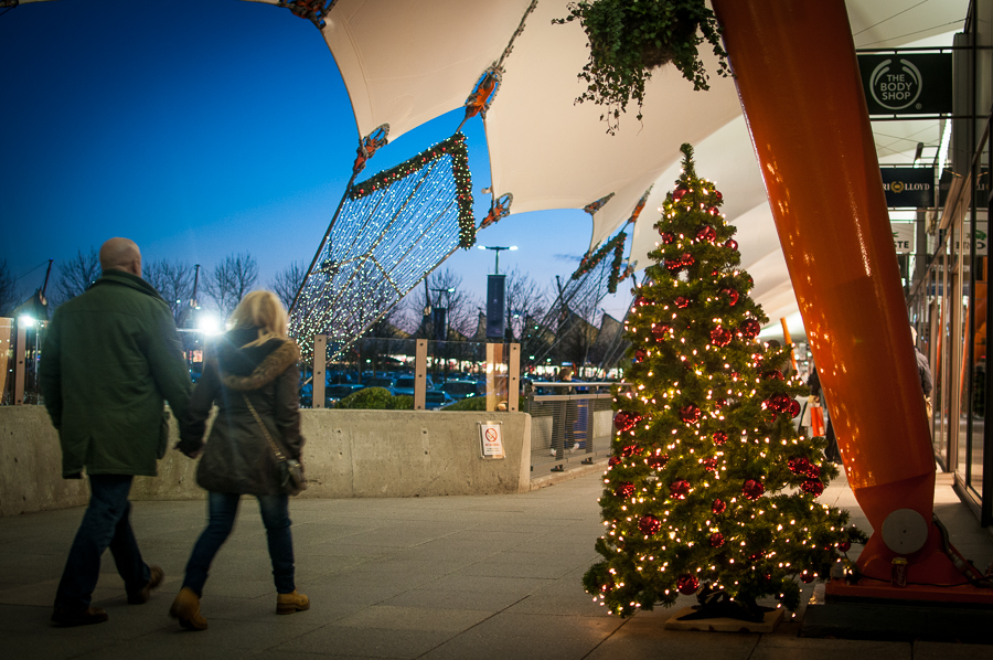 Outdoor Festive Christmas Tree