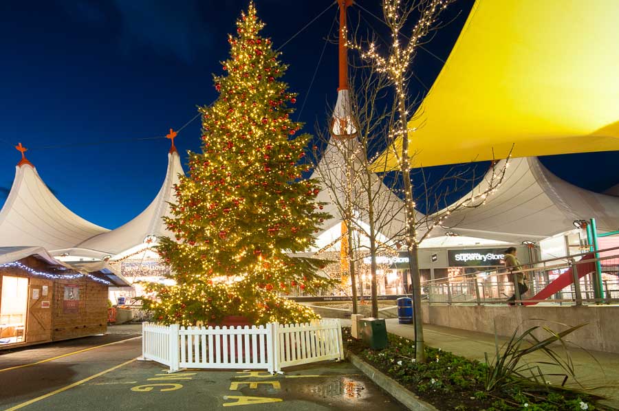 Large Christmas tree