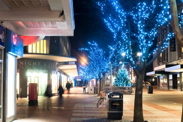 Outdoor Festive Lighting