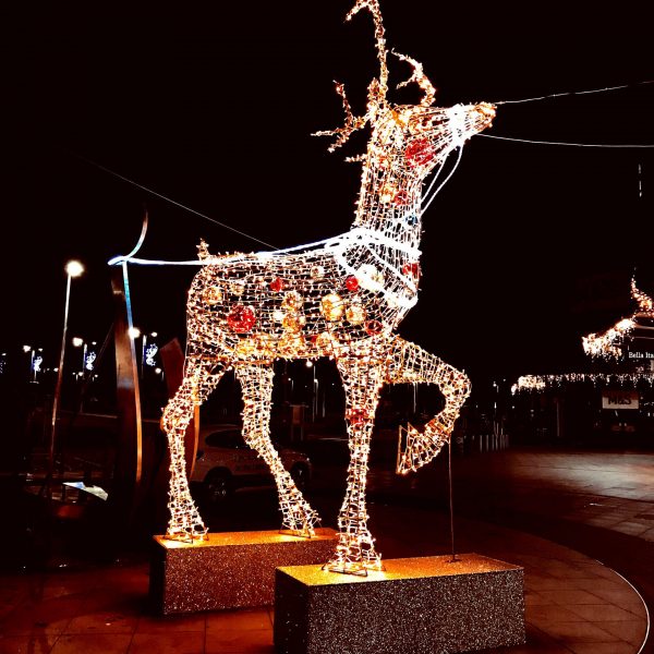 Reindeer Christmas Lights